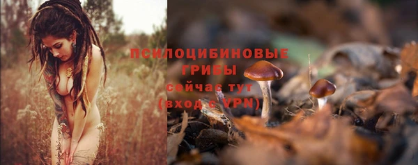 каннабис Арсеньев