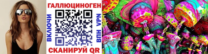 Купить закладки  Судогда  Галлюциногенные грибы Psilocybine cubensis 